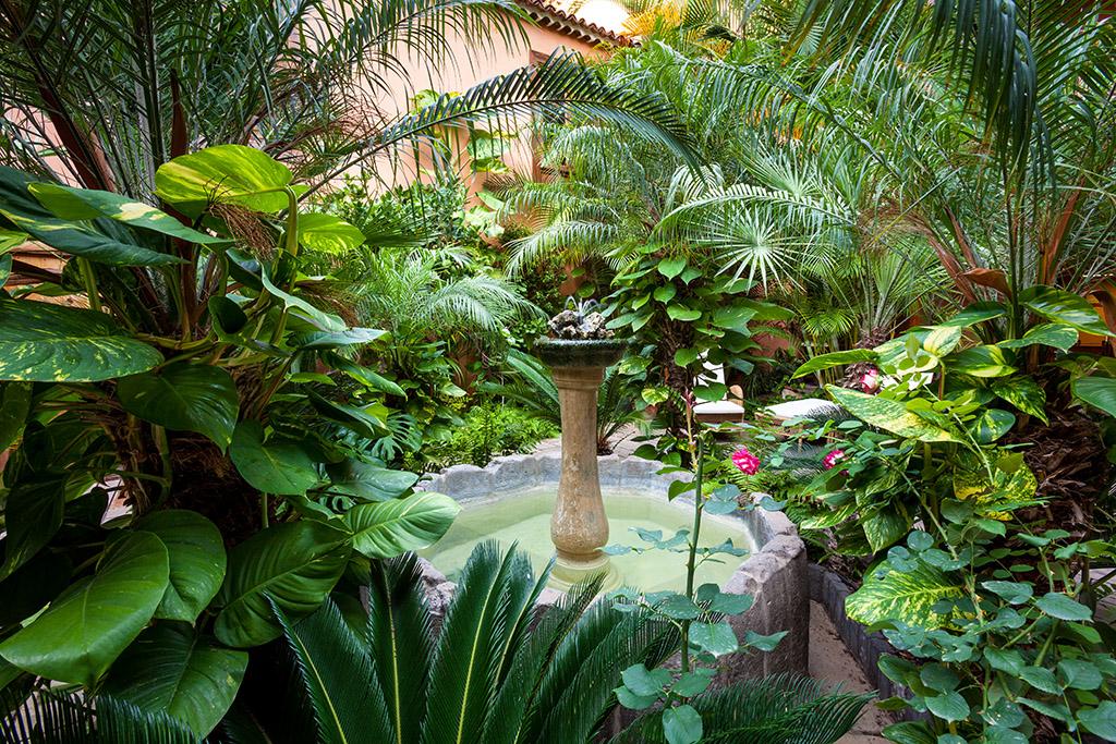 Hotel Livvo La Quinta Roja Garachico  Luaran gambar
